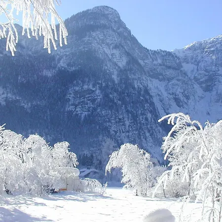 Haus Alpenrose Guest house