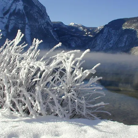 Guest house Haus Alpenrose Obertraun