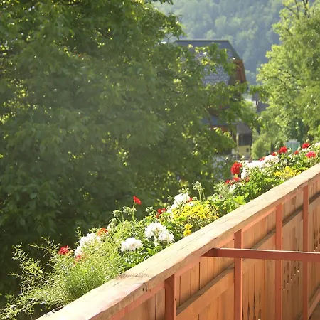 Guest house Haus Alpenrose Obertraun