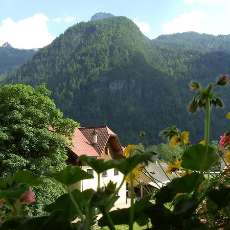 Guest house Haus Alpenrose