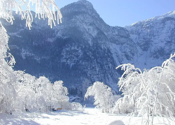 Haus Alpenrose Gasthof