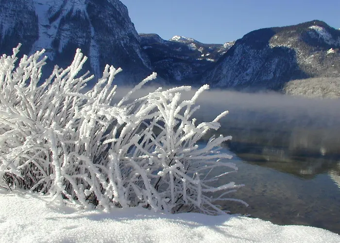 Casa de hóspedes Haus Alpenrose Obertraun